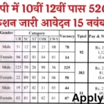 Government jobs: ITBP Telecommunication Recruitment 2024.This image is show one Application form and write information text colour is red.