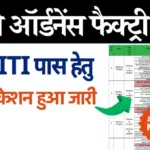 MP Ordnance Factory Bharti 2024 Apply Online. This Image right hand side show one Application form for Vacancy and left hand side write information background colour is white.
